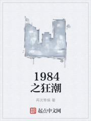 1984之狂潮小说封面