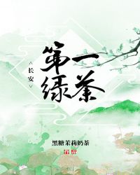 长安第一绿茶小说封面